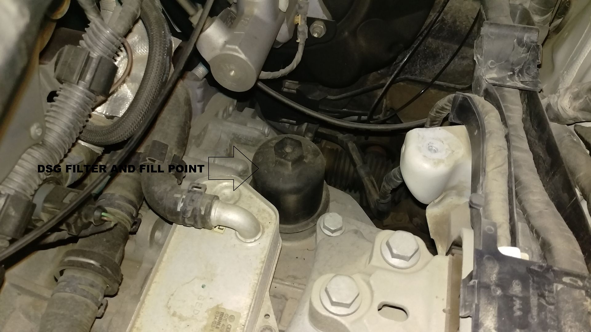 Cam Follower, Haldex + Filter, Diffs, DSG and Engine Fluids Swap. VW